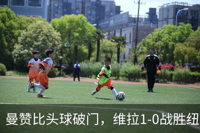 曼赞比头球破门，维拉1-0战胜纽卡，英超积分榜更新